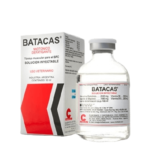 Batacas