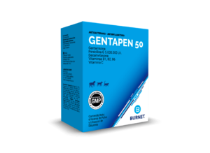 Gentapen en Biovet